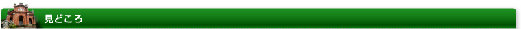 見どころ