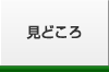 見どころ