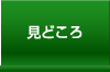 見どころ